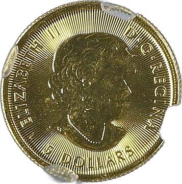 2019-2020 5 Dollars – Elizabeth II (Polar Bear)